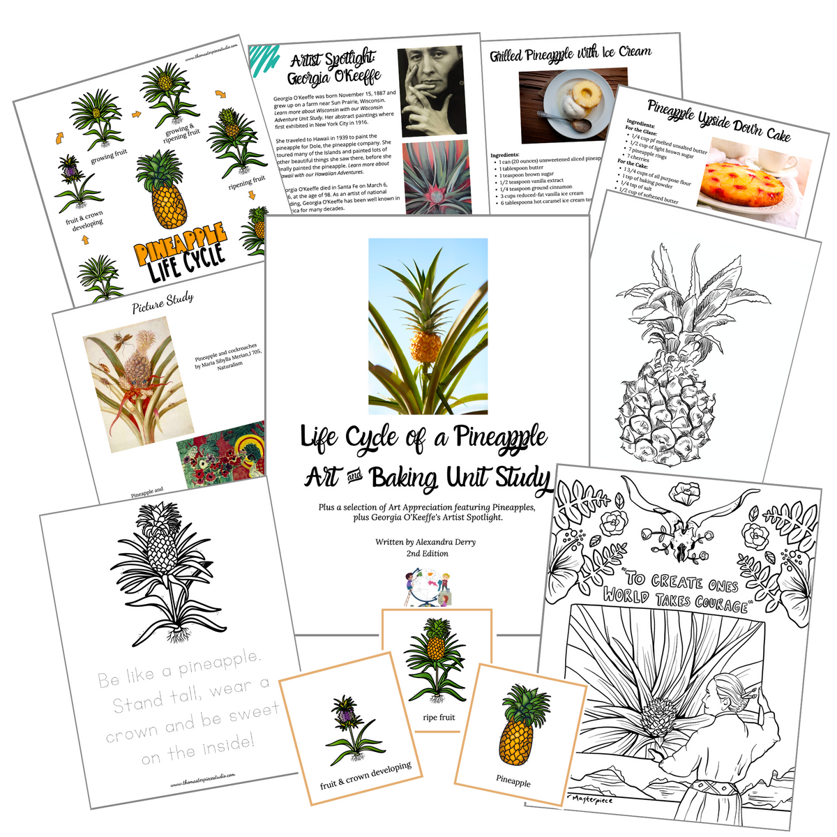 life cycle of a pineapple plant Life Cycle of a Pineapple Art & Baking Unit Study & Georgia O'Keeffe's –  The Masterpiece Studio