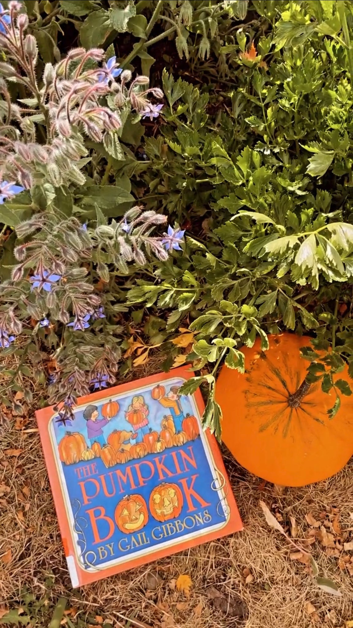 🎃 Look inside my Favorite Books for October Part 2: