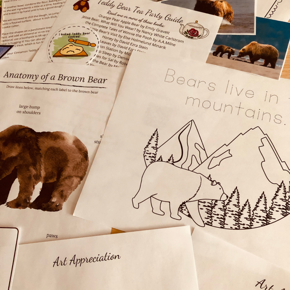 Bears in the Mountains Learning Pack