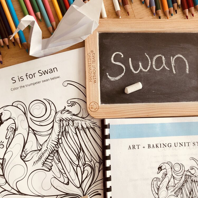 Trumpet of the Swan Art & Baking Novel Study Guide