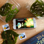 Load image into Gallery viewer, Fireflies in the Garden Learning Pack with Firefly Life Cycle
