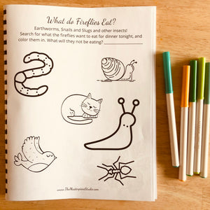 Fireflies in the Garden Learning Pack with Firefly Life Cycle