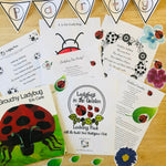 Load image into Gallery viewer, Ladybugs in the Garden Learning Pack
