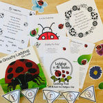 Load image into Gallery viewer, Ladybugs in the Garden Learning Pack
