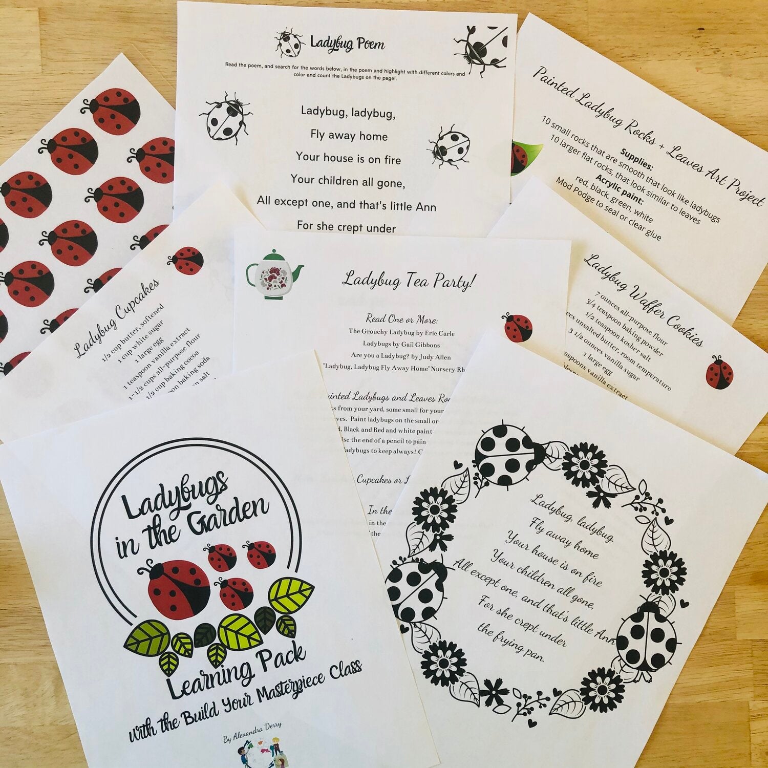 Ladybugs in the Garden Learning Pack