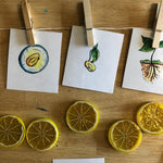 Load image into Gallery viewer, Adventures in Italy Week 6 Gardens + Lemon Life Cycle BUNDLE
