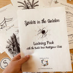 Load image into Gallery viewer, Spiders in the Garden Learning Pack

