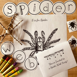 Spiders in the Garden Learning Pack