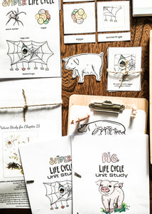 Charlotte's Web Art & Baking Unit Study + BONUS Life Cycles of a Pig & Spider!