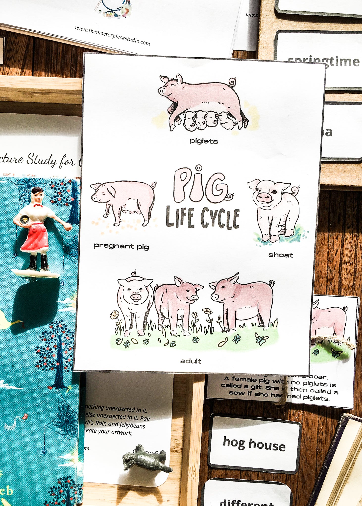 Charlotte's Web Art & Baking Unit Study + BONUS Life Cycles of a Pig & Spider!