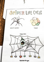 Load image into Gallery viewer, Charlotte&#39;s Web Art &amp; Baking Unit Study + BONUS Life Cycles of a Pig &amp; Spider!
