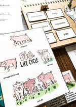 Load image into Gallery viewer, Charlotte&#39;s Web Art &amp; Baking Unit Study + BONUS Life Cycles of a Pig &amp; Spider!
