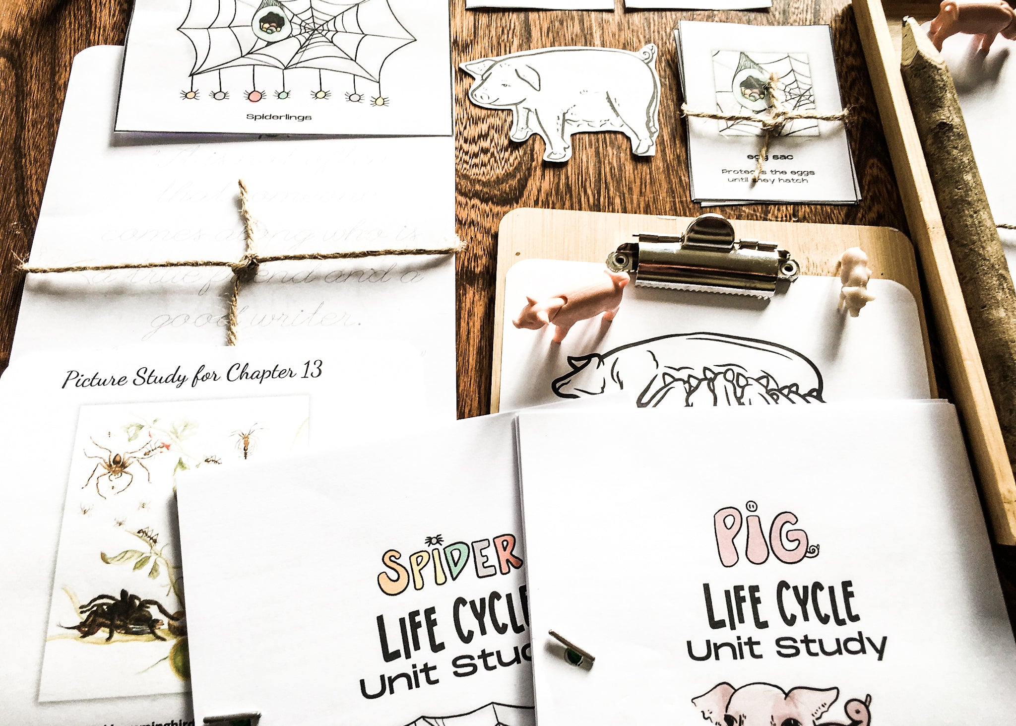 Charlotte's Web Art & Baking Unit Study + BONUS Life Cycles of a Pig & Spider!