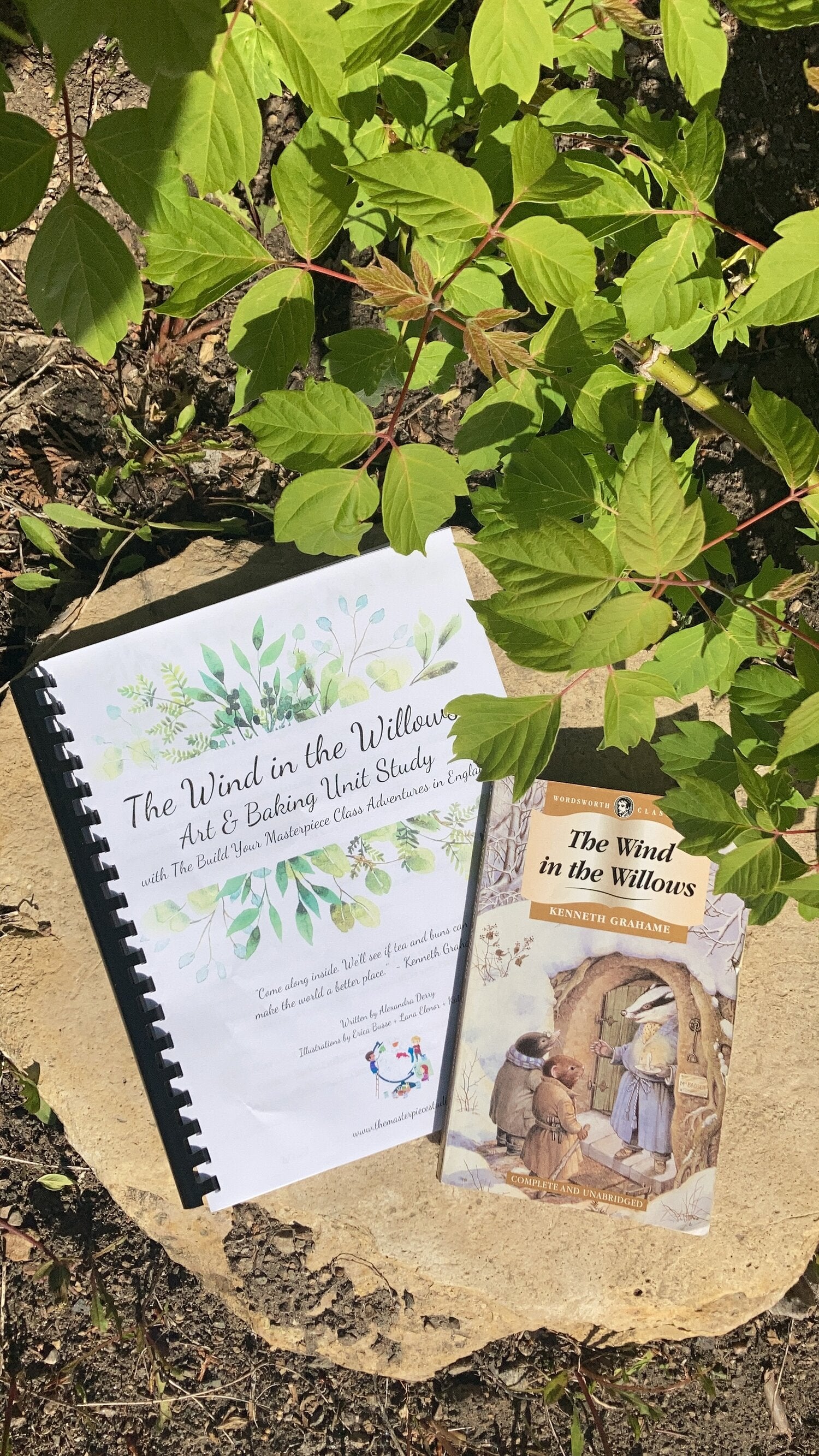 The Wind in the Willows Art + Baking Unit Study