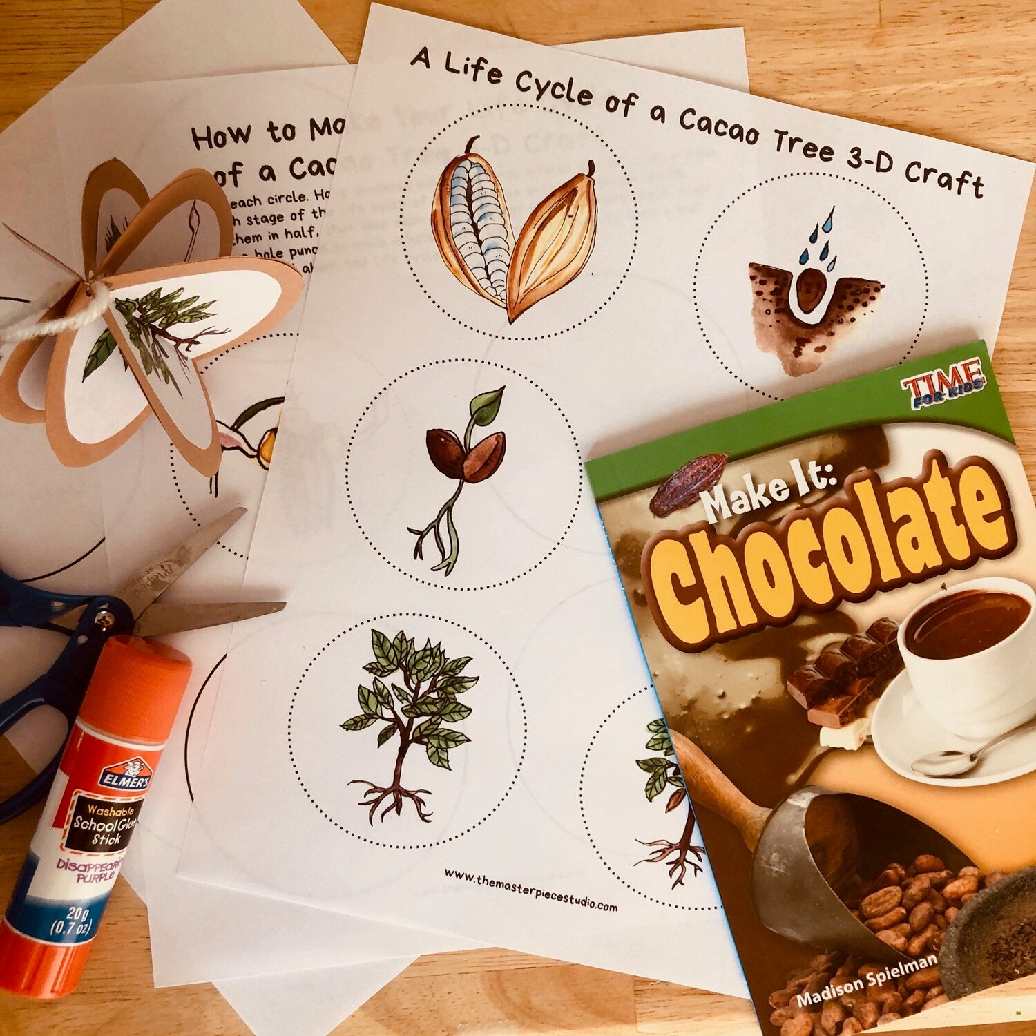 Chocolate Adventures + Life Cycle of Cacao BUNDLE
