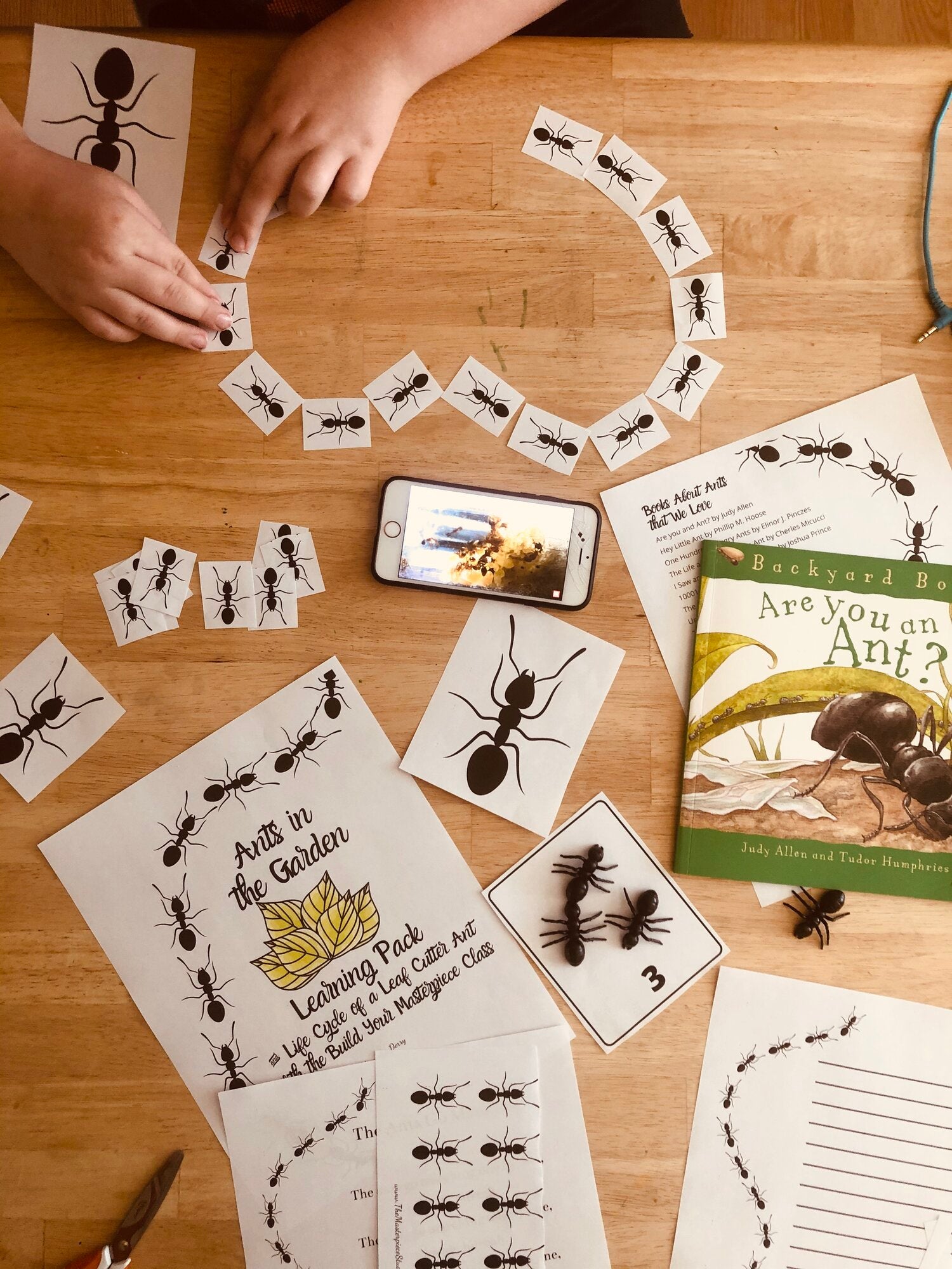 Ants in the Garden Learning Pack with Ant Life Cycle