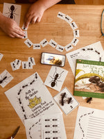 Load image into Gallery viewer, Ants in the Garden Learning Pack with Ant Life Cycle
