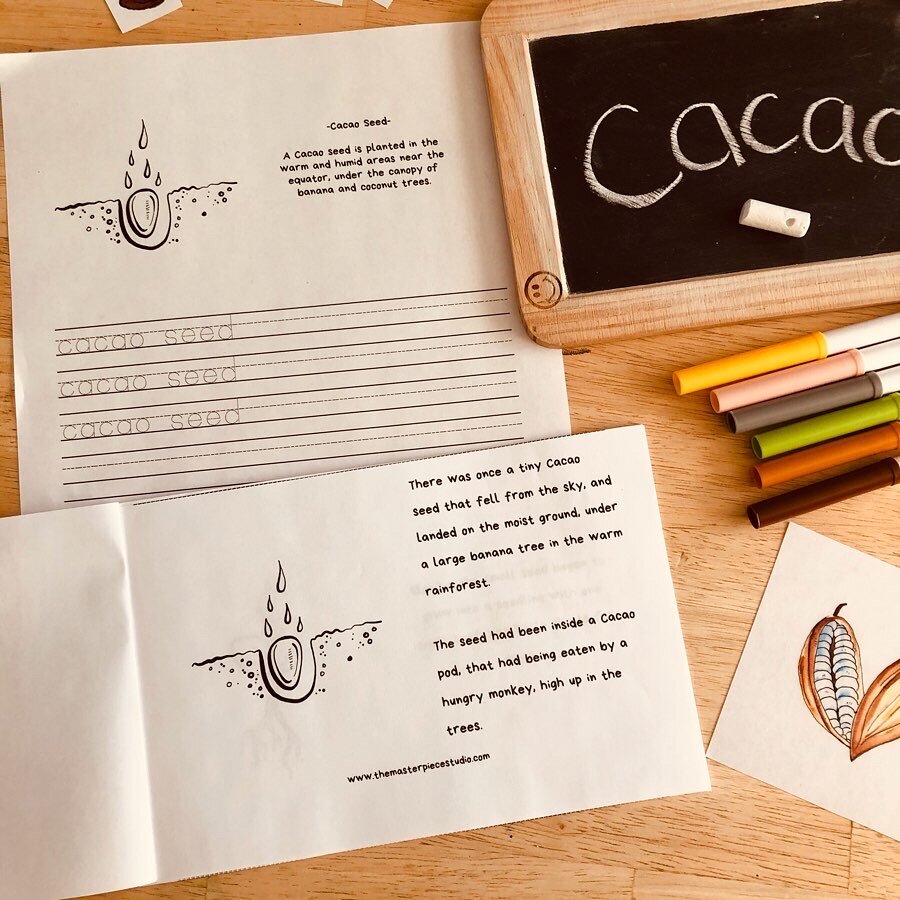 Chocolate Adventures + Life Cycle of Cacao BUNDLE