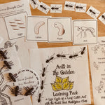 Load image into Gallery viewer, Ants in the Garden Learning Pack with Ant Life Cycle
